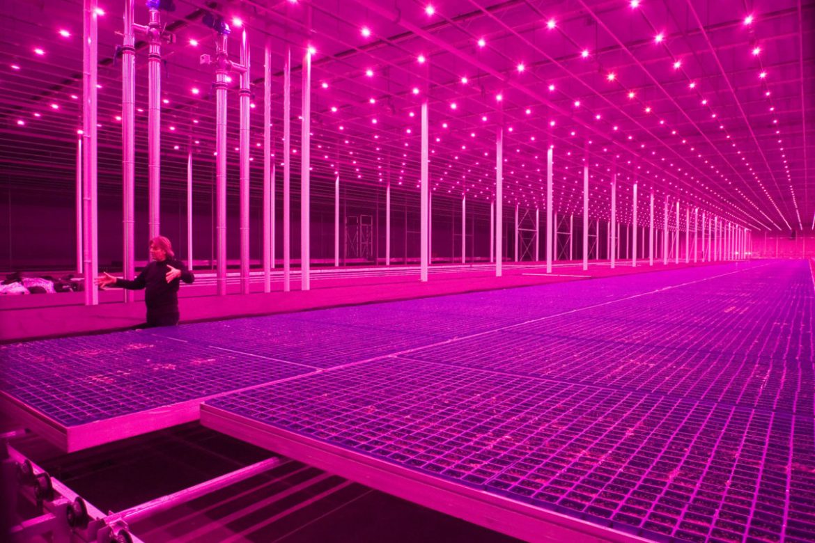 FUTURE FARMING
