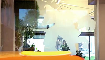 XOhub - Dott. Stefano Gangli