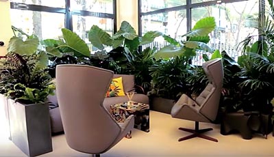 XOhub - Dott.ssa Patrizia Bartolini